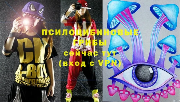 прущая мука Абаза